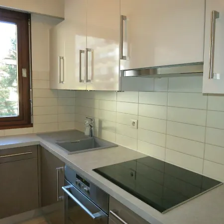 Apartment L'aiguille Chamonix